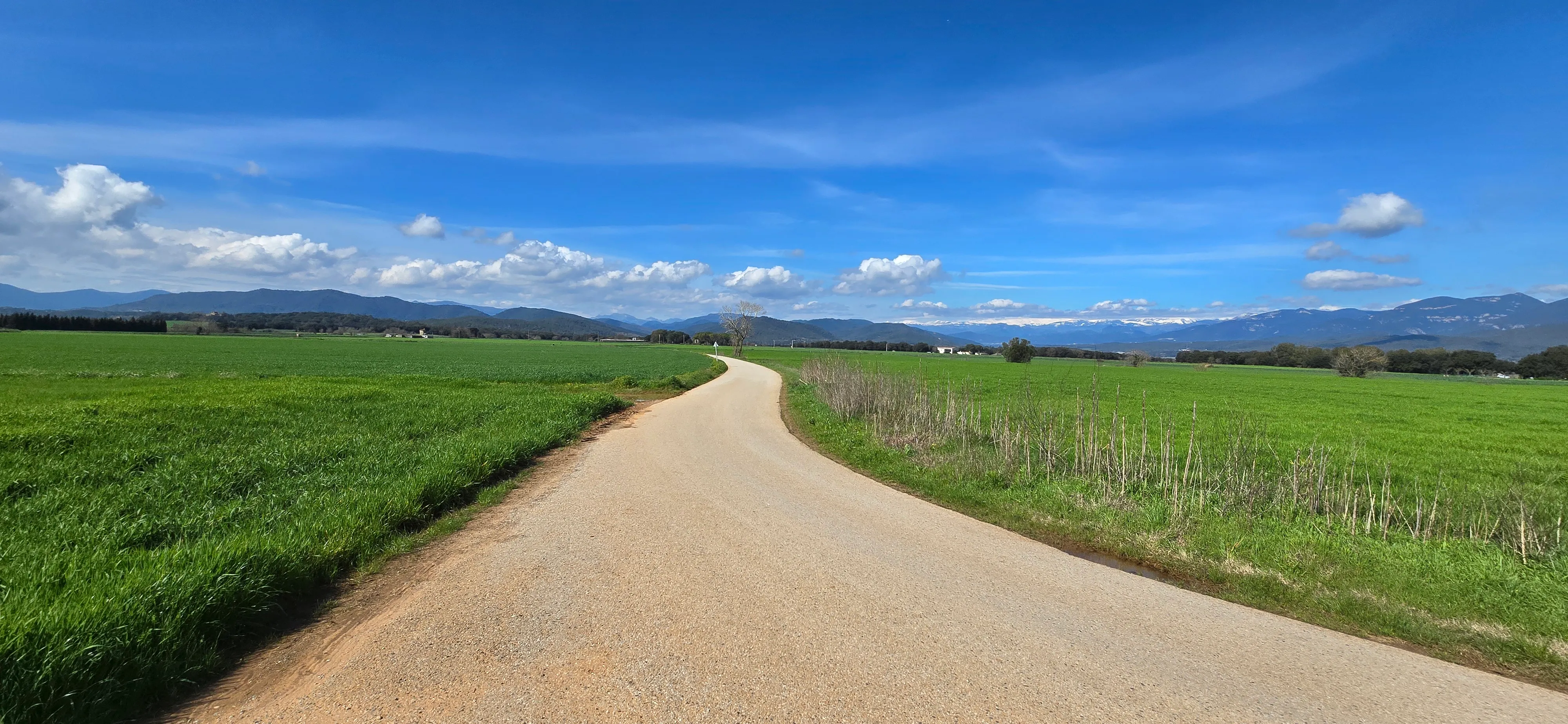 An open country road bending into the hills